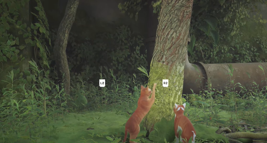 A game scene featuring two cats perched on the edge of a tree trunk